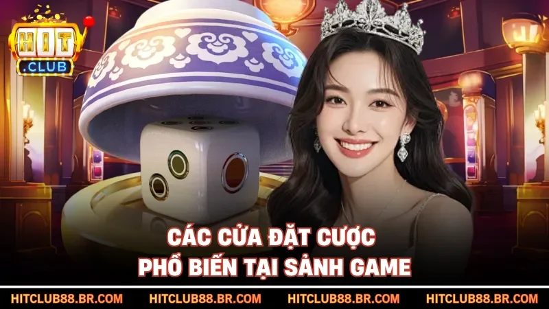 Các cửa đặt cược phổ biến tại sảnh game