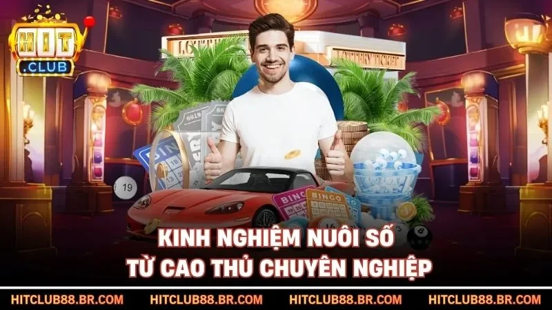 Kinh nghiệm nuôi số từ cao thủ chuyên nghiệp