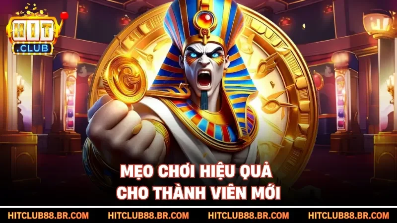 Mẹo chơi hiệu quả cho thành viên mới