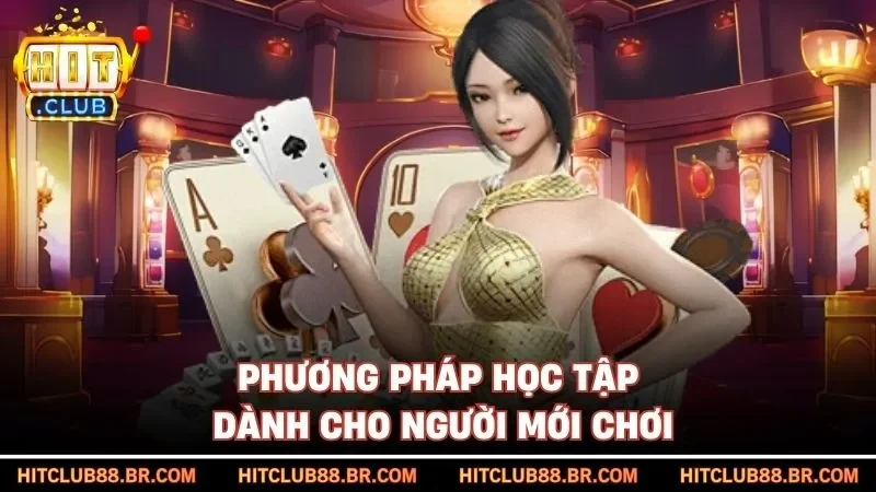 Phương pháp học tập dành cho người mới chơi